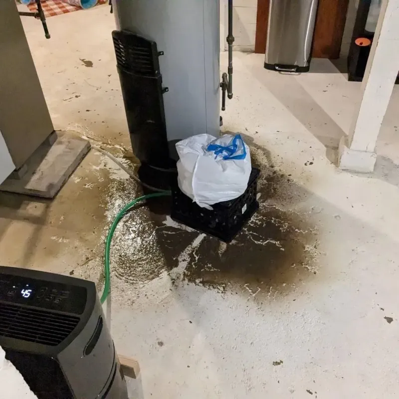 Sewage Backup Cleanup Service in Bainbridge, GA